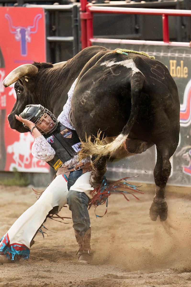 Hung Up Bull Rider 
052425-1003 : Wyoming : Will Dickey Florida Fine Art Nature and Wildlife Photography - Images of Florida's First Coast - Nature and Landscape Photographs of Jacksonville, St. Augustine, Florida nature preserves