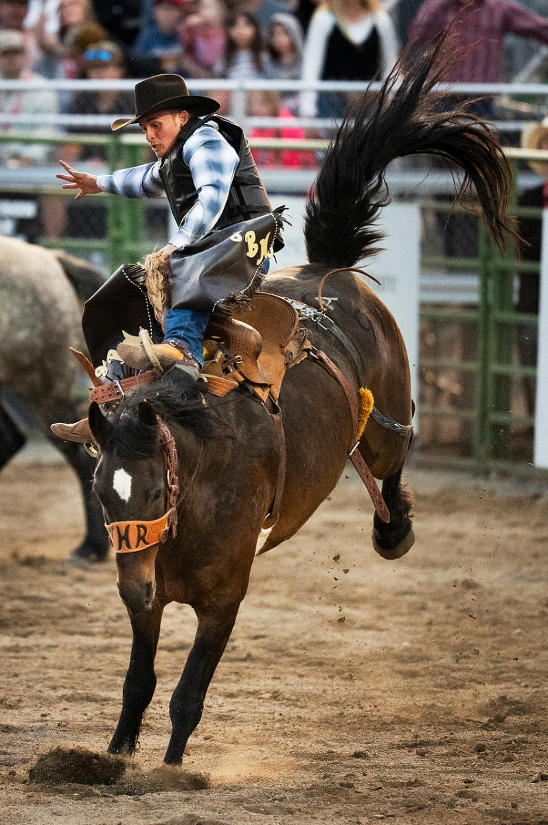 Saddle Bronc Rider 
052425-1480 : Wyoming : Will Dickey Florida Fine Art Nature and Wildlife Photography - Images of Florida's First Coast - Nature and Landscape Photographs of Jacksonville, St. Augustine, Florida nature preserves