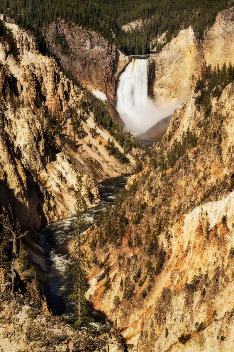 Yellowstone Falls 
052725-823 : Wyoming : Will Dickey Florida Fine Art Nature and Wildlife Photography - Images of Florida's First Coast - Nature and Landscape Photographs of Jacksonville, St. Augustine, Florida nature preserves