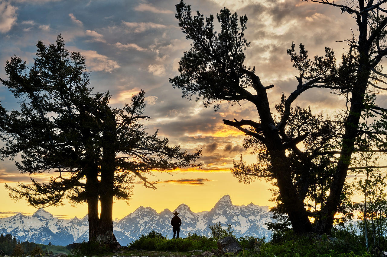 Wedding Trees Tetons 052825-1440 : Wyoming : Will Dickey Florida Fine Art Nature and Wildlife Photography - Images of Florida's First Coast - Nature and Landscape Photographs of Jacksonville, St. Augustine, Florida nature preserves