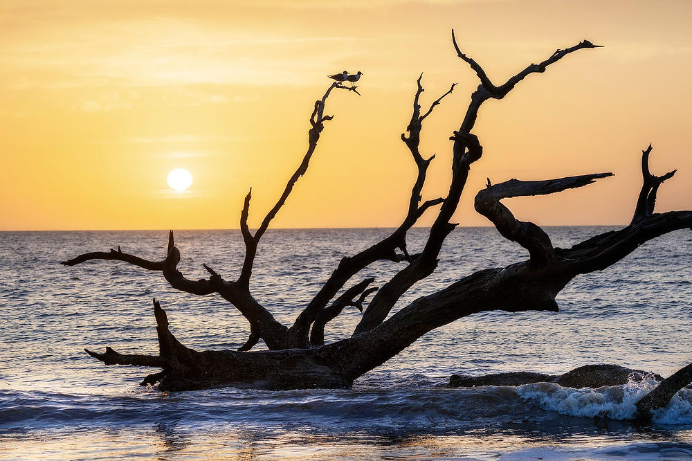 Jekyll Island Sunrise 
040625-167 : Beaches : Will Dickey Florida Fine Art Nature and Wildlife Photography - Images of Florida's First Coast - Nature and Landscape Photographs of Jacksonville, St. Augustine, Florida nature preserves