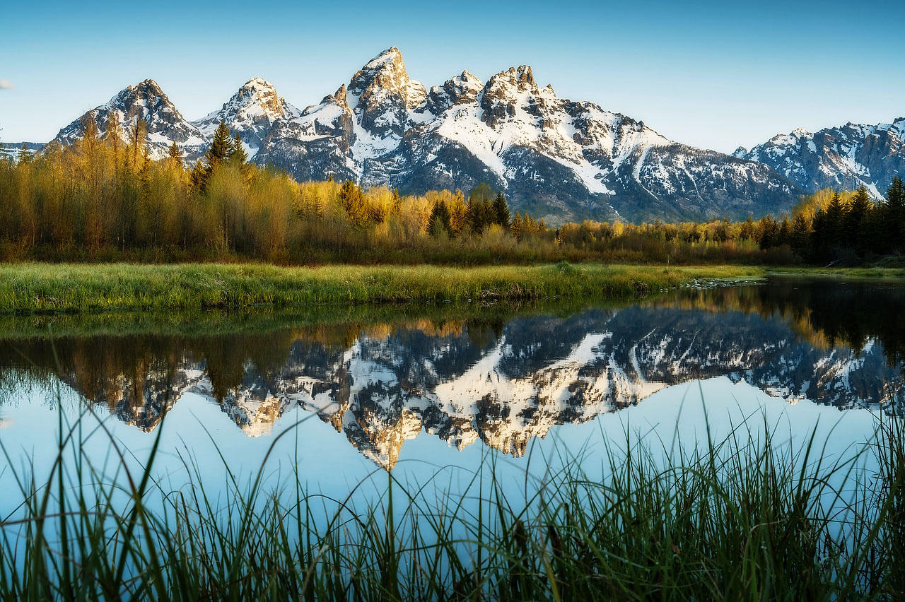Schwabacher Landing 052625-67 : Wyoming : Will Dickey Florida Fine Art Nature and Wildlife Photography - Images of Florida's First Coast - Nature and Landscape Photographs of Jacksonville, St. Augustine, Florida nature preserves