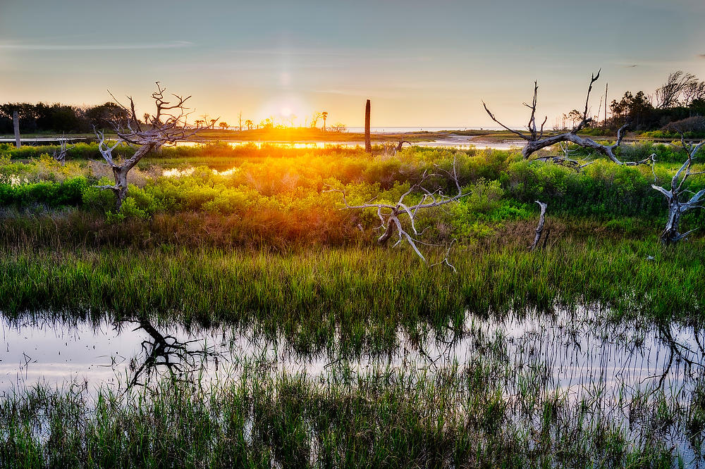 Big Talbot Pond 
050526-10401 : Timucuan Preserve  : Will Dickey Florida Fine Art Nature and Wildlife Photography - Images of Florida's First Coast - Nature and Landscape Photographs of Jacksonville, St. Augustine, Florida nature preserves