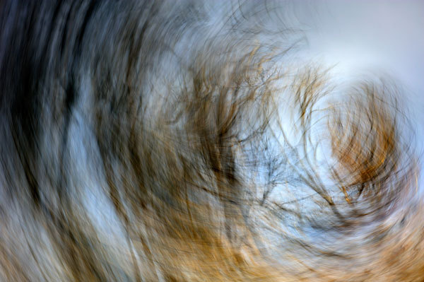 Julington Creek Swirl
123009-114 : Abstract Realities : Will Dickey Florida Fine Art Nature and Wildlife Photography - Images of Florida's First Coast - Nature and Landscape Photographs of Jacksonville, St. Augustine, Florida nature preserves